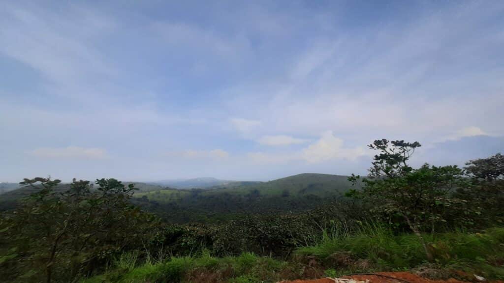 Spirit of the Wild 6