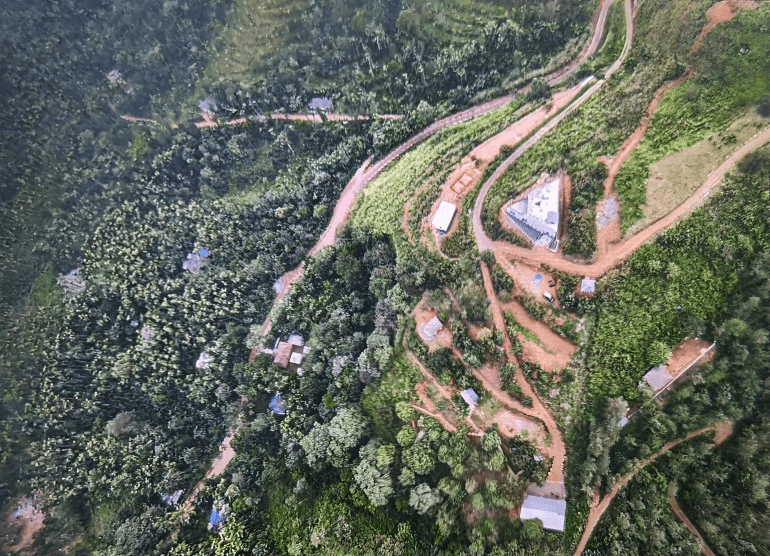 Spirit of the Wild 3