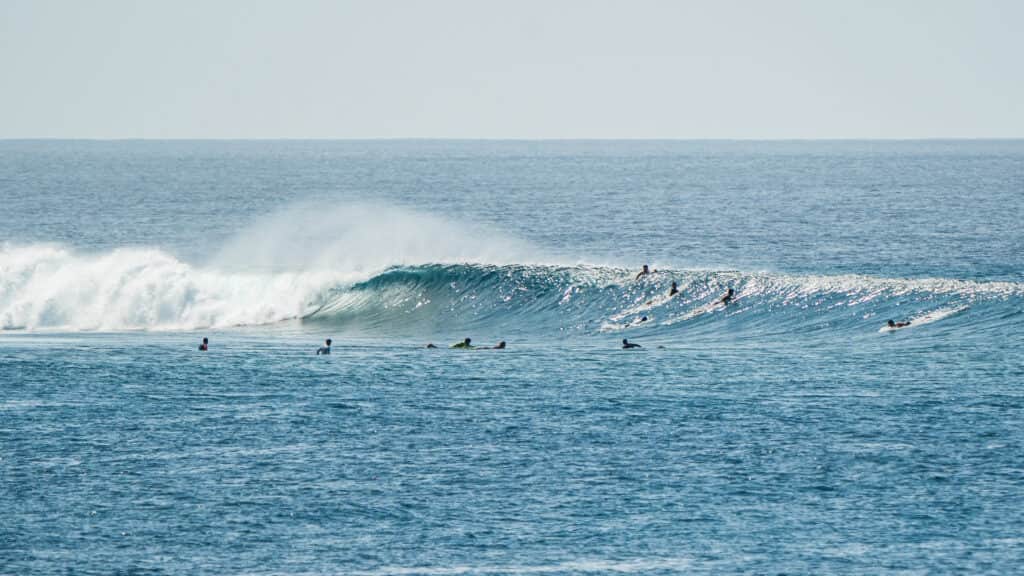 Seasters Maldives Retreat 4