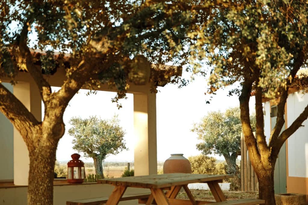 ATMA Retreats Portugal 7