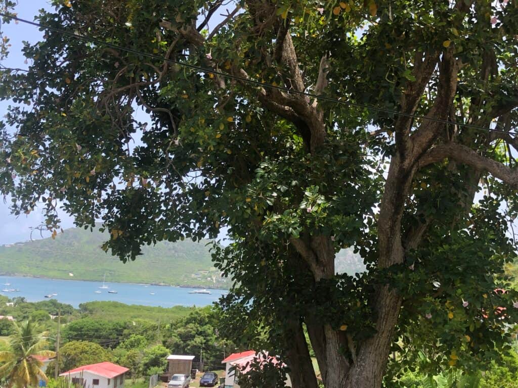 Gateway of Wisdom Retreats 2