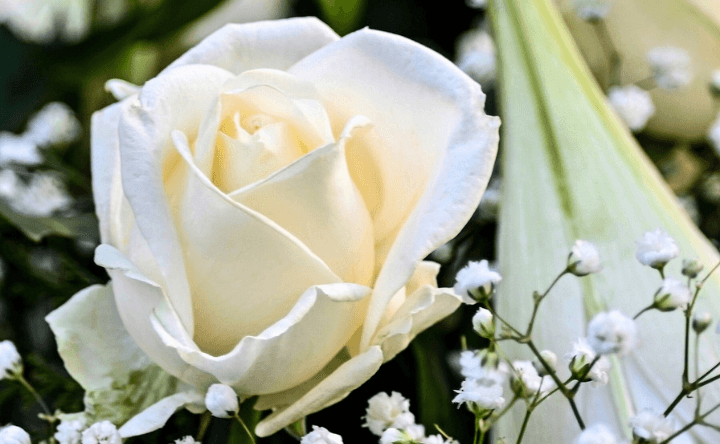 White Rose Retreats 3