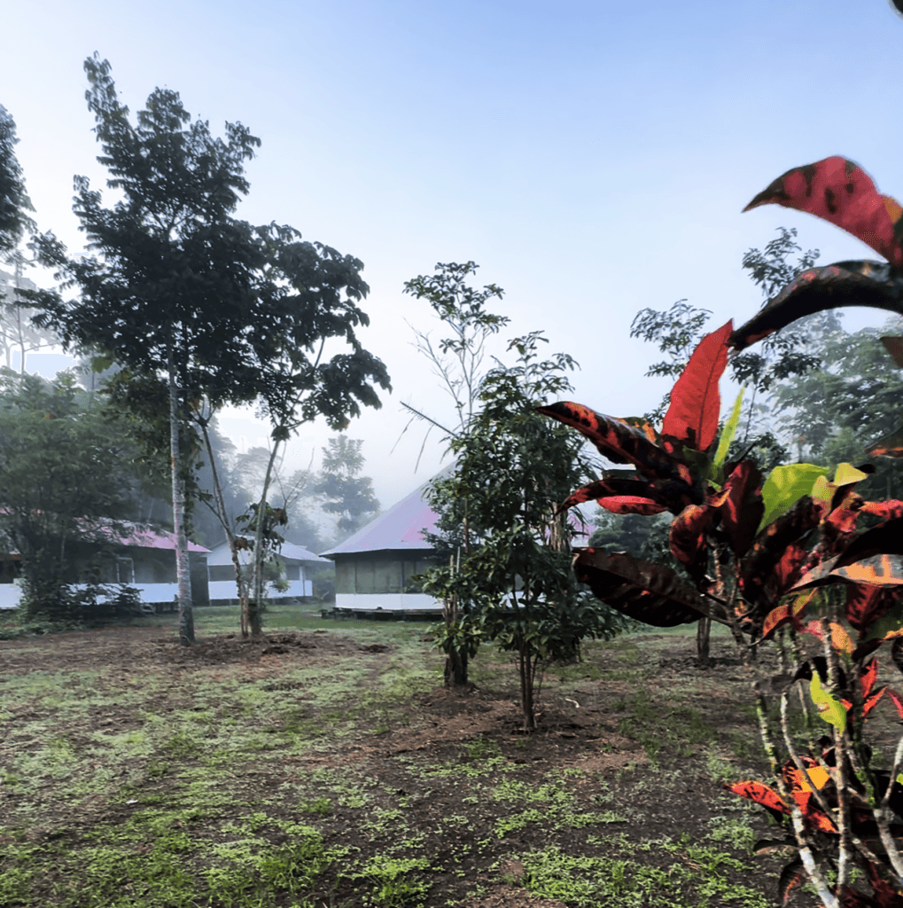Soi Rawa Ayahuasca Retreat & Healing Center 5