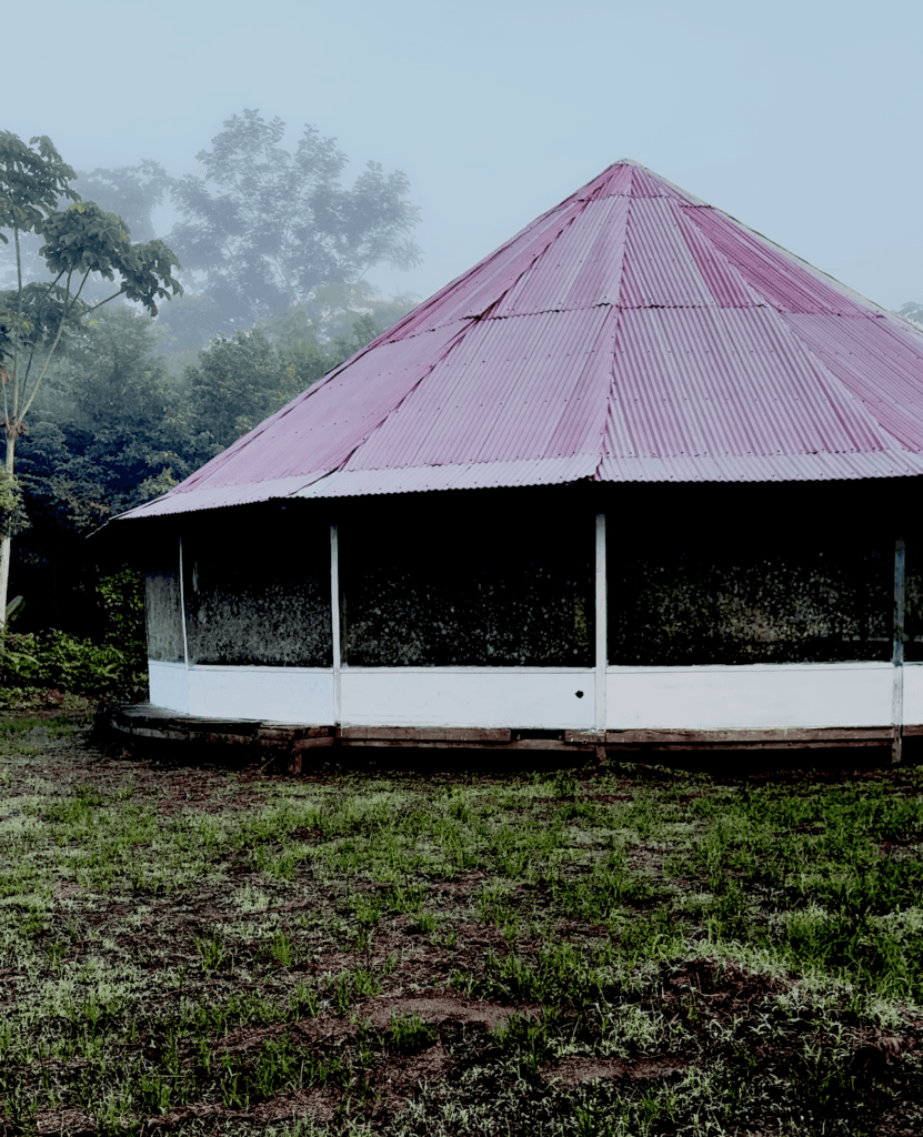 Soi Rawa Ayahuasca Retreat & Healing Center 4