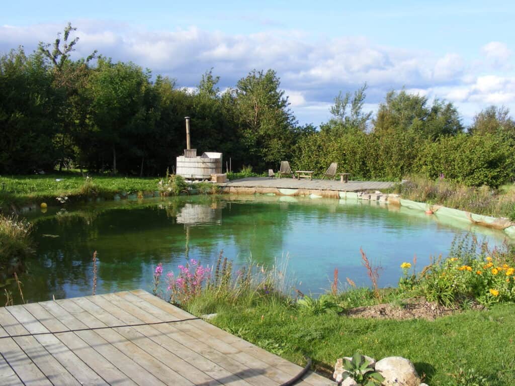 Moksha Cacao Dance 5