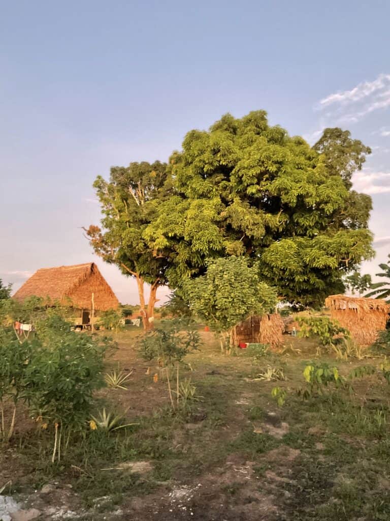 Niwe Nete Healing Center 5