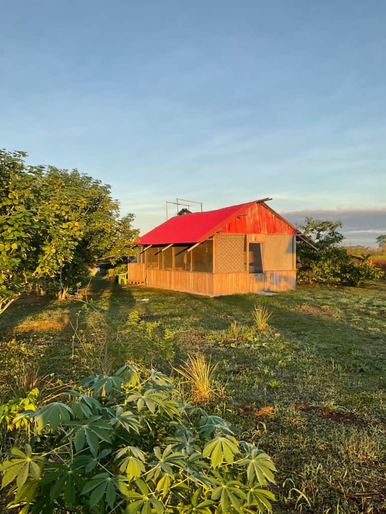 Niwe Nete Healing Center 4