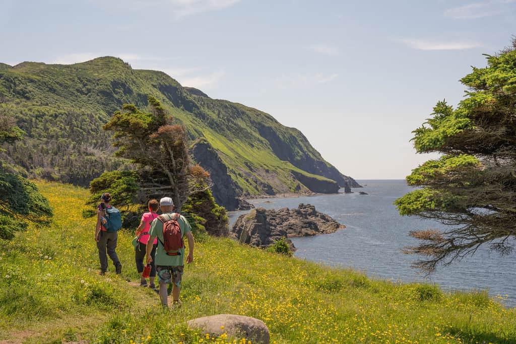 Transform Gros Morne Retreats 5