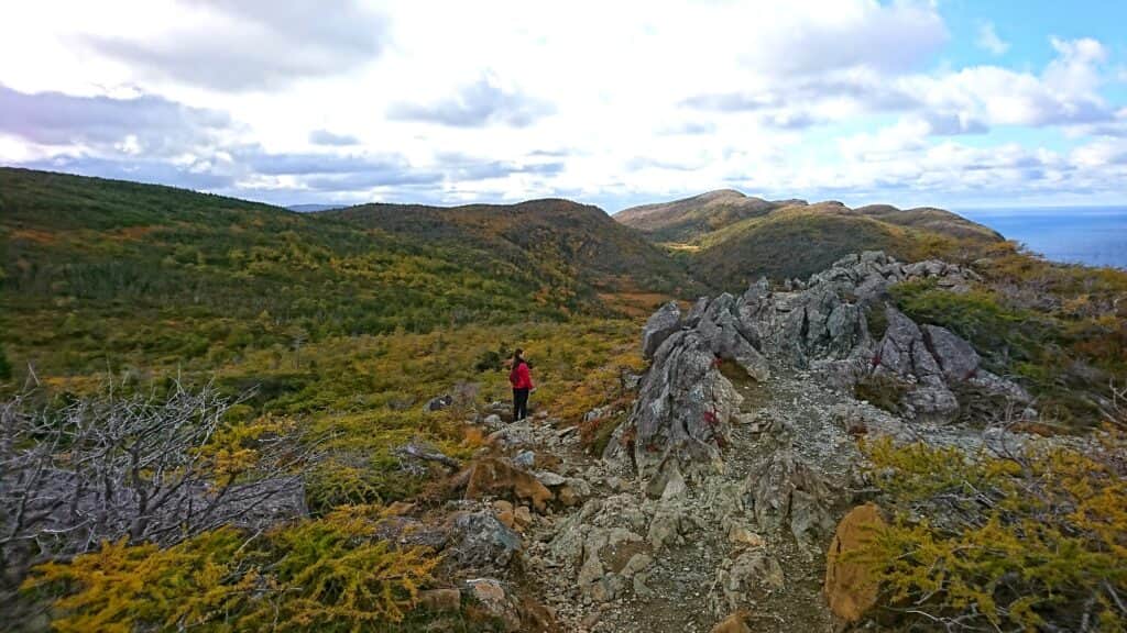 Transform Gros Morne Retreats 8