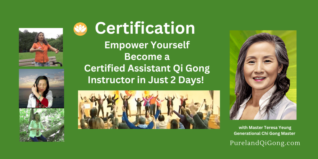 Pureland International Qi Gong 1