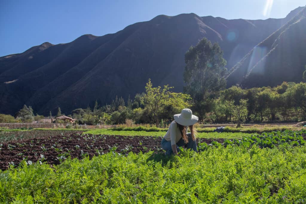 Árbol de la Vida - Integrative Wellness & SPA 5
