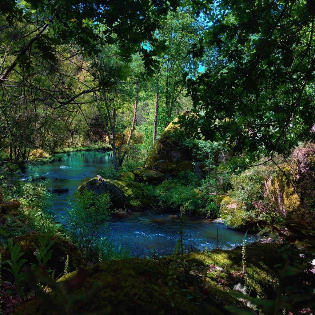 AYA Retreat Valley 6