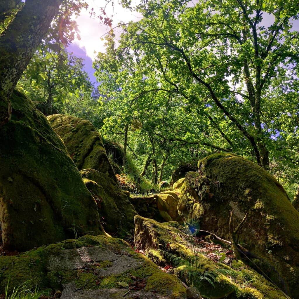 AYA Retreat Valley 8