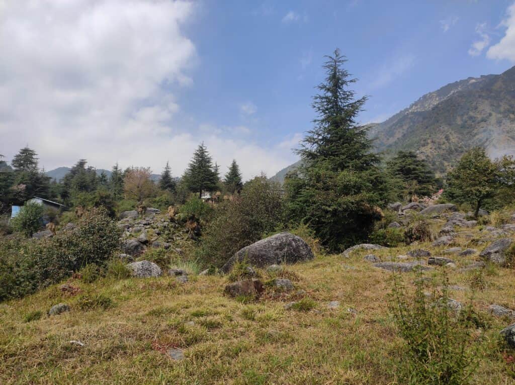 Mango Wisdom Wellness Ayurveda & Yoga 5