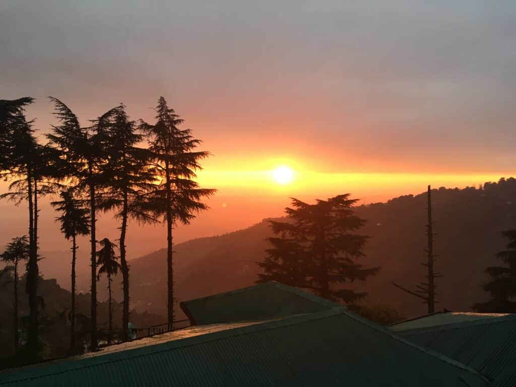 Mango Wisdom Wellness Ayurveda & Yoga 6