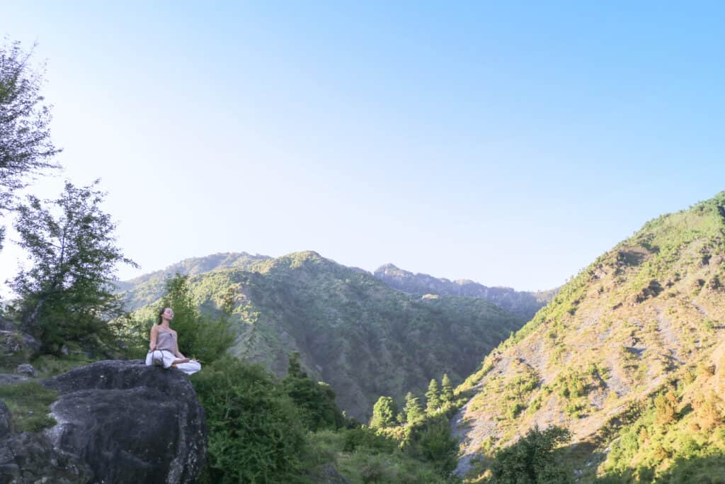 Mango Wisdom Wellness Ayurveda & Yoga 8