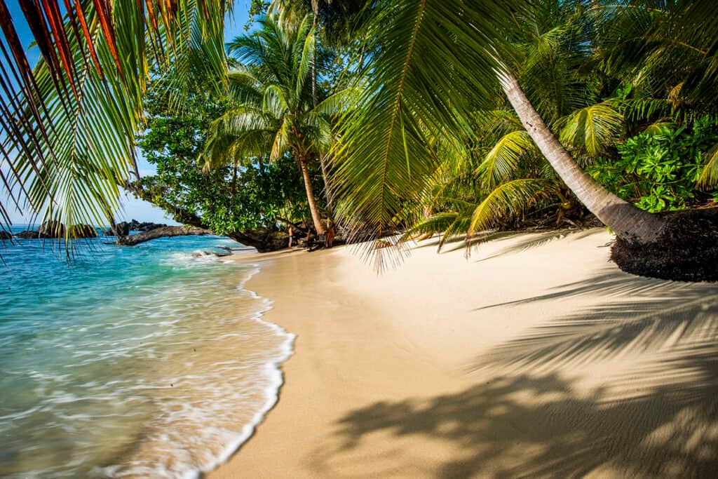 Pinang Island Tropical Paradise 2