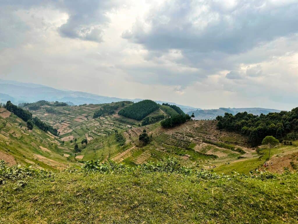 Deeper diving retreats, summits, & adventures, LLC 4