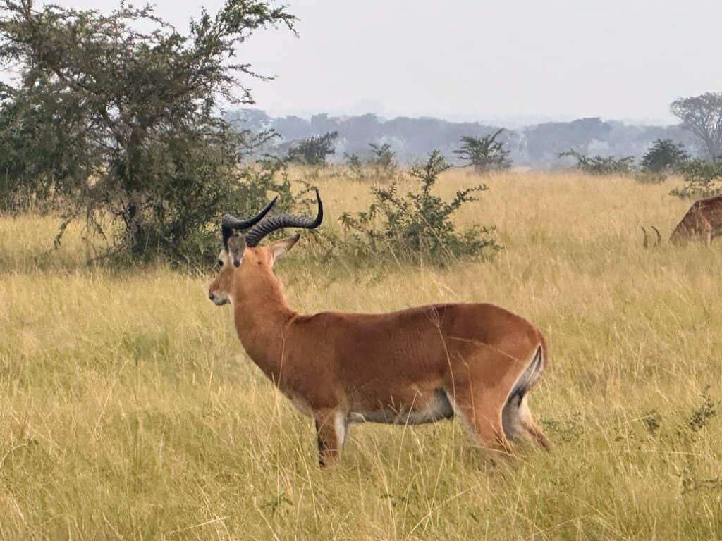 Deeper diving retreats, summits, & adventures, LLC 3