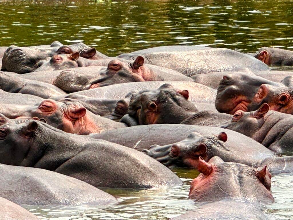 Deeper diving retreats, summits, & adventures, LLC 8