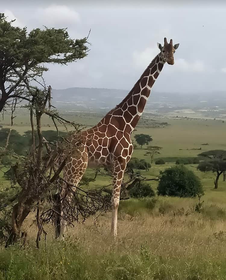 Lifestyles Medicine: Yoga & Health coaching 4