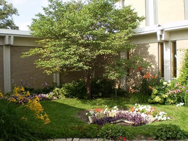 Our Lady of Good Counsel 3