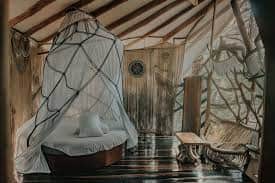 Awakened & Aligned 3