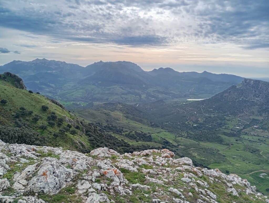 Psicología y Salud Holística 6