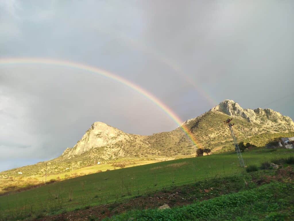 Psicología y Salud Holística 5
