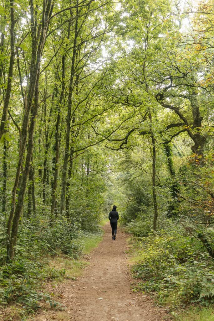 The Synthesis Institute 4