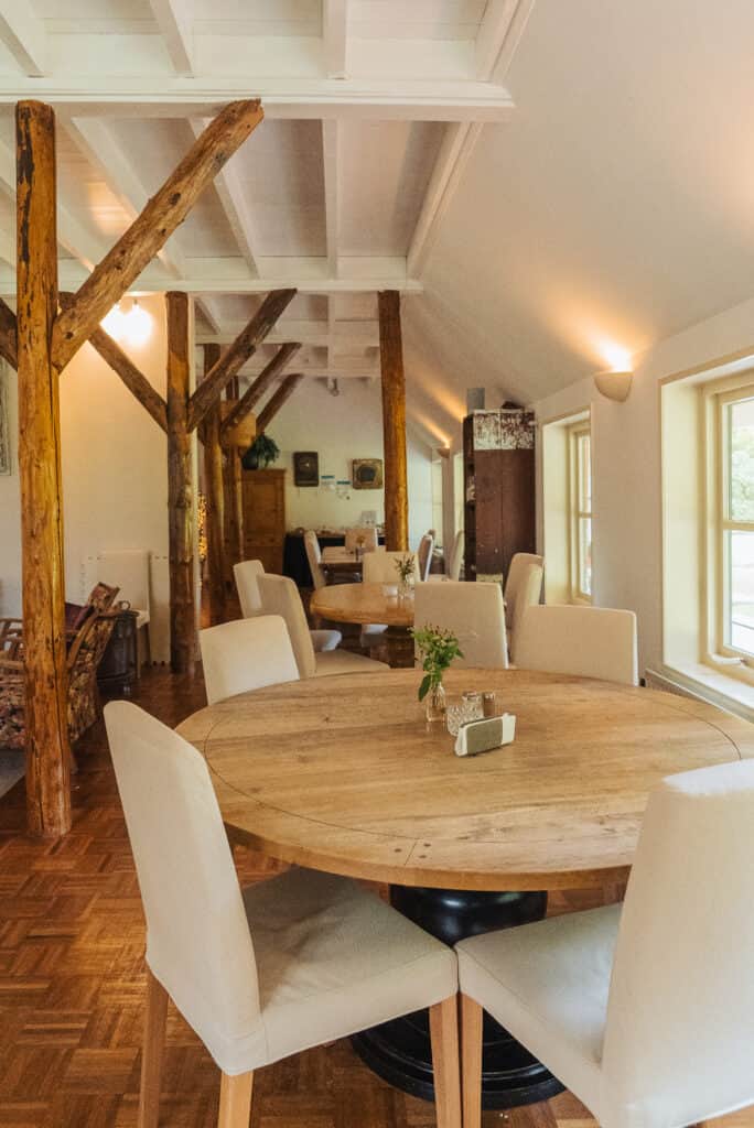 The Synthesis Institute 5