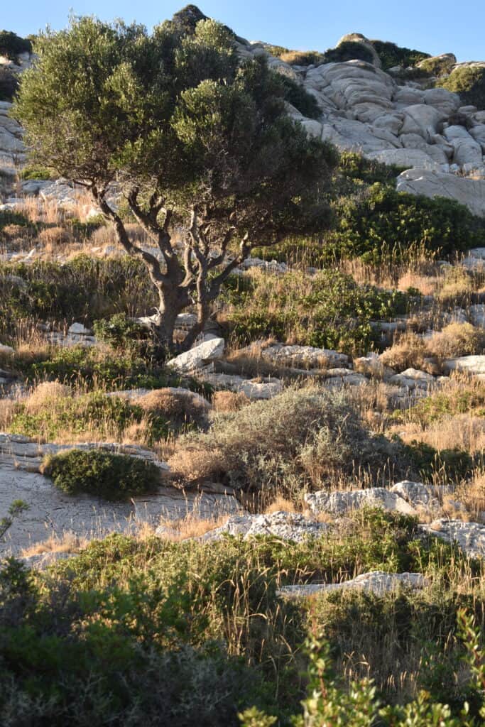 ExaRetreats Cyclades 7