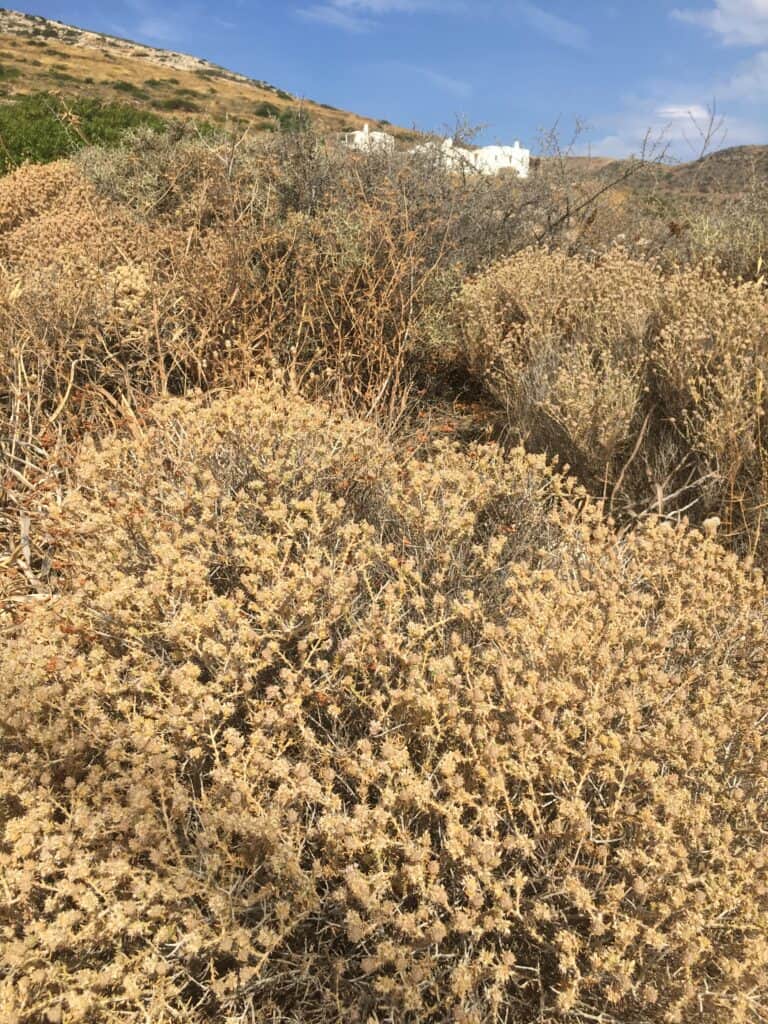 ExaRetreats Cyclades 6