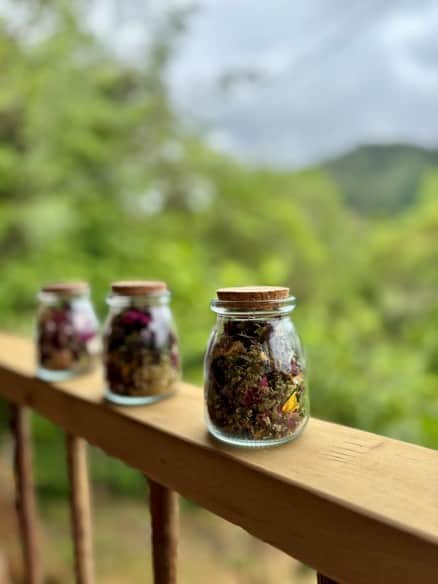 Aura Haven Retreats 3