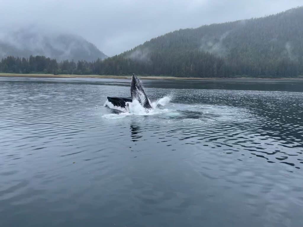 Hoonah Matata Retreat 7