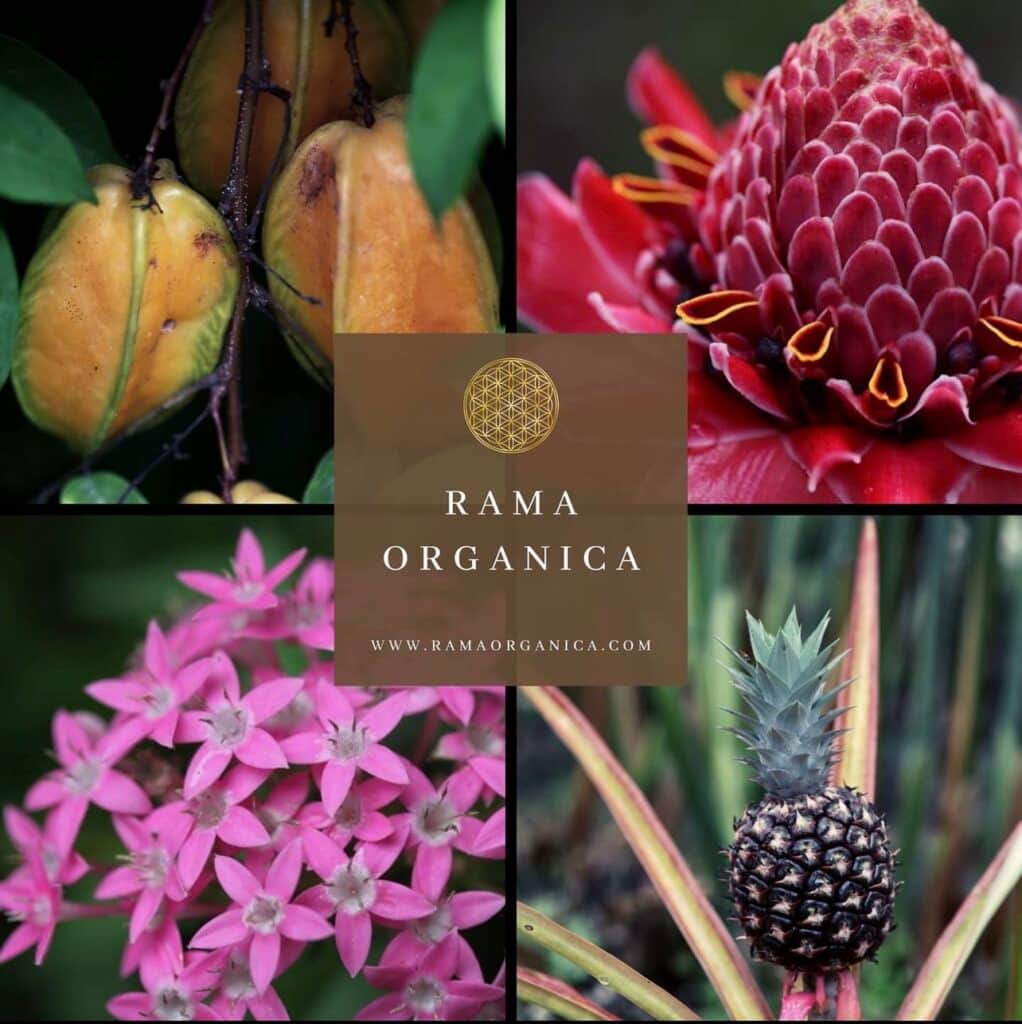 Open Paths Retreat 6