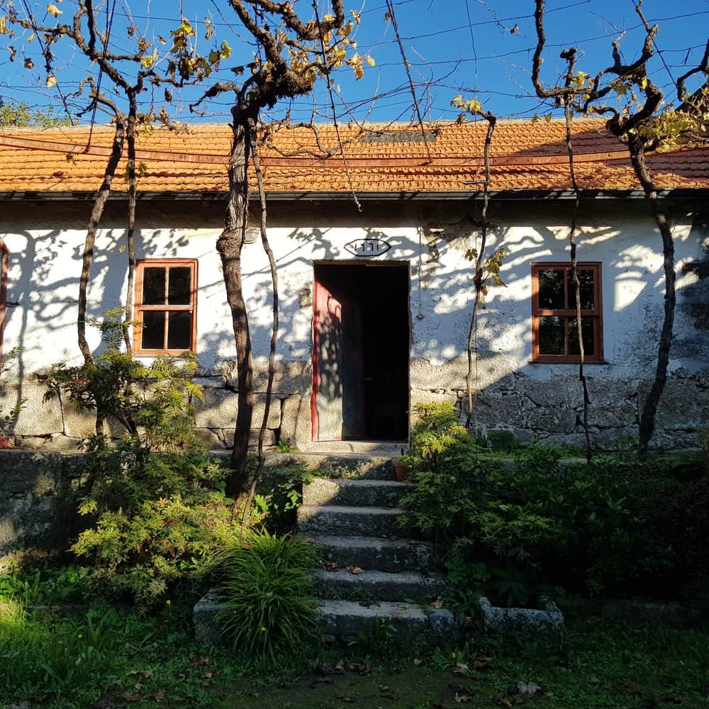 The Court Of Cavalum 2