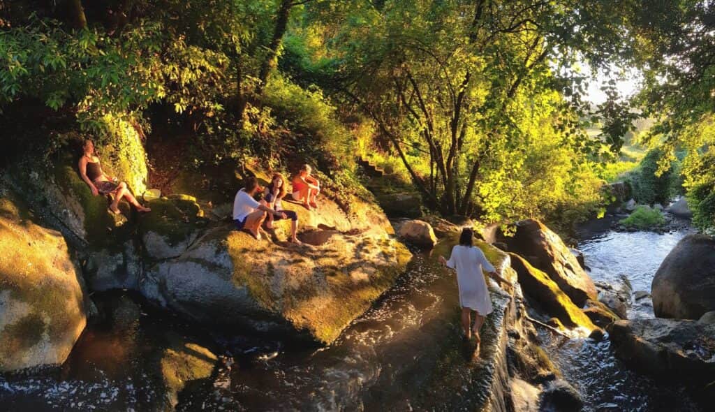 The Court Of Cavalum 6