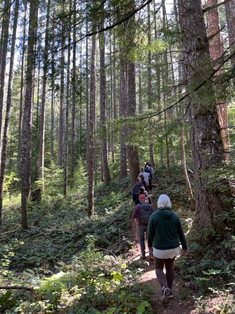 Sustainable Fitness 4