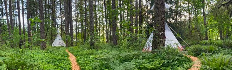 Sustainable Fitness 7