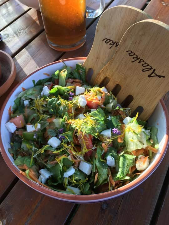 Nordic Husky Farm Genuine Nature Experiences 7