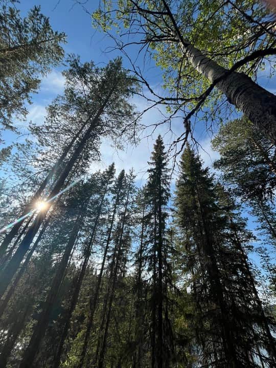 Nordic Husky Farm Genuine Nature Experiences 6