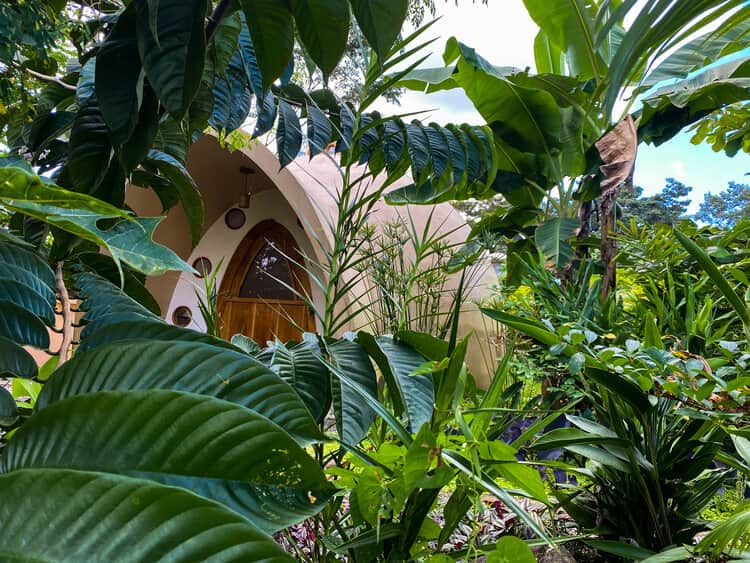 School of Psychedelics 3