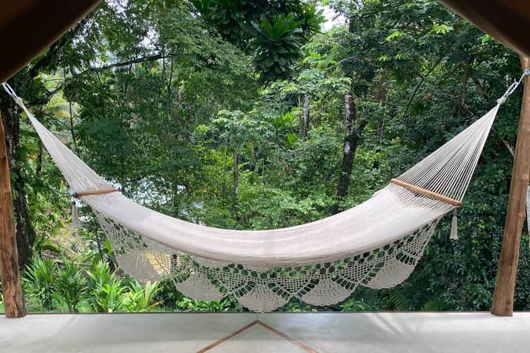 School of Psychedelics 5