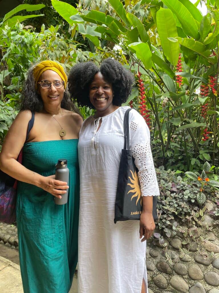 School of Psychedelics 6