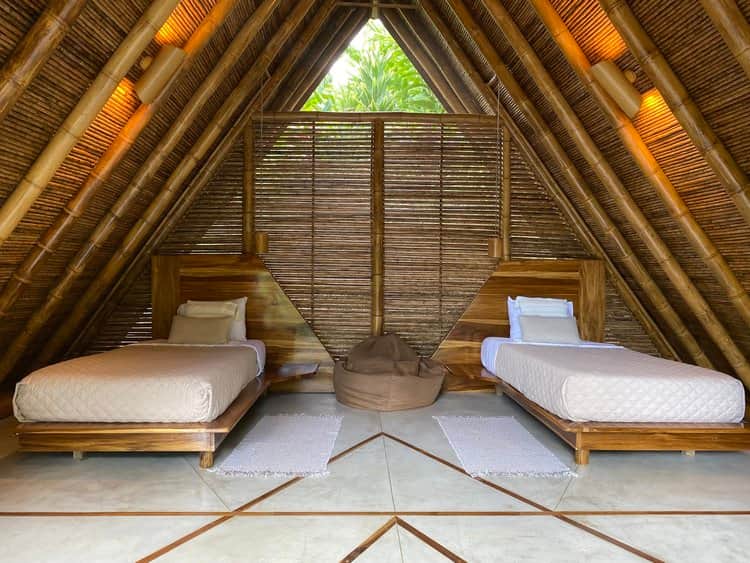 School of Psychedelics 4