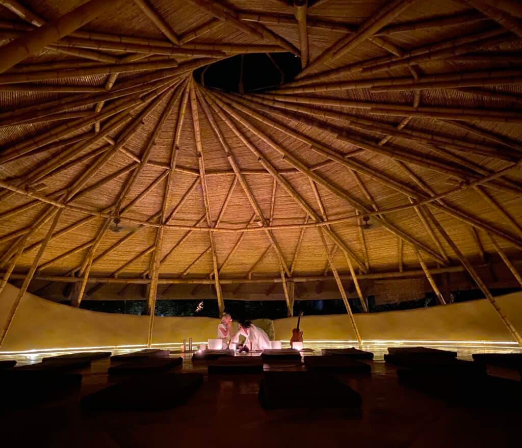 School of Psychedelics 1