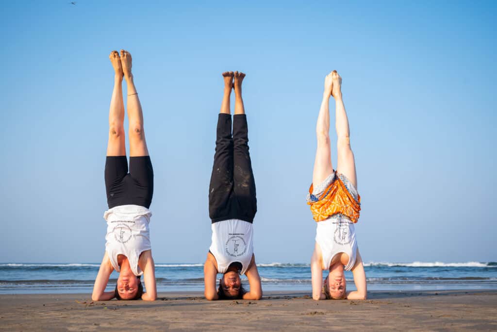 Himalaya Yoga Valley 8