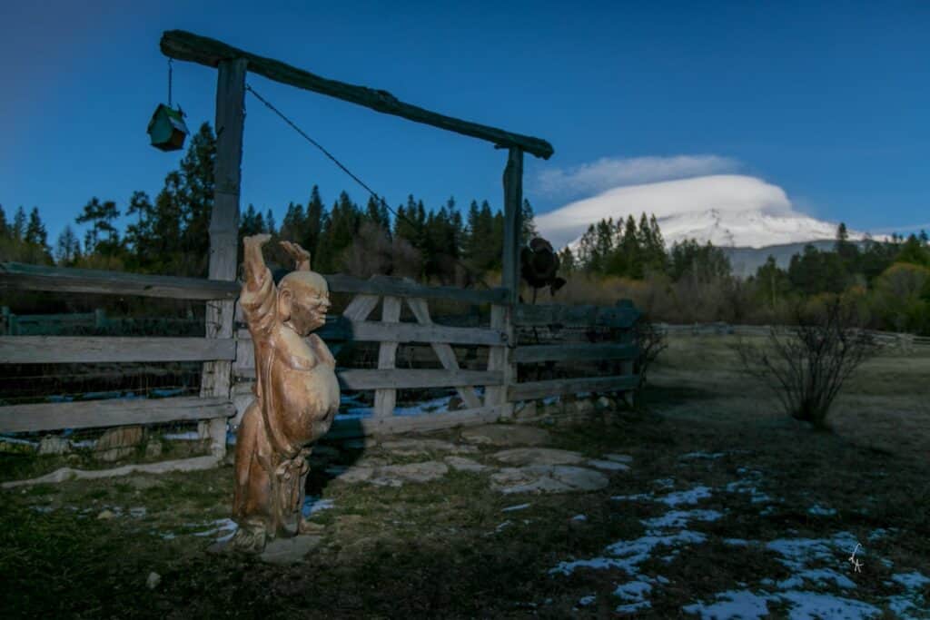 Dolphin Touch Wellness Center 2