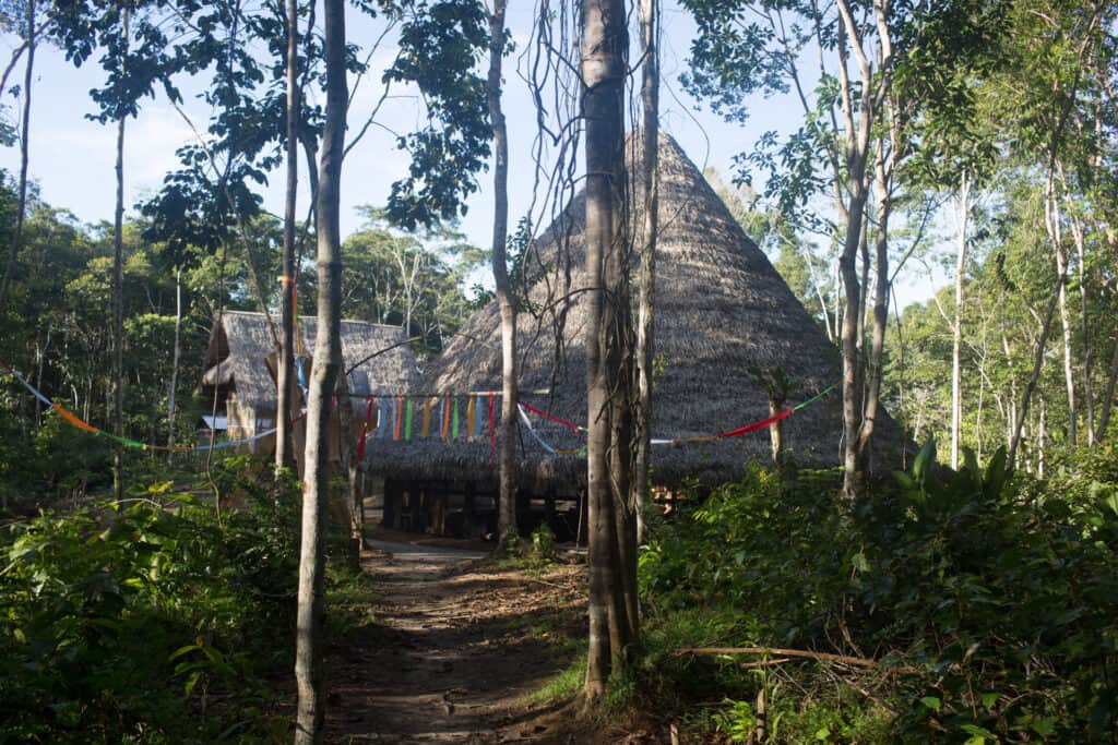 Psychonauta Foundation 2